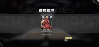 多米体育美职篮全名